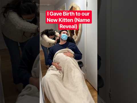 Video evidence that I gave birth to my son #petowners #catshorts #funnycats