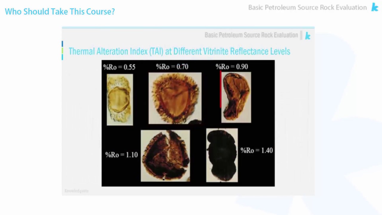 Basic Petroleum Source Rock Evaluation