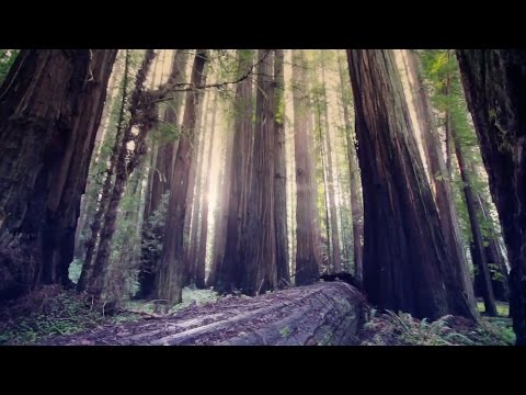 Mat Zo & Mike Foyle - Simple Things