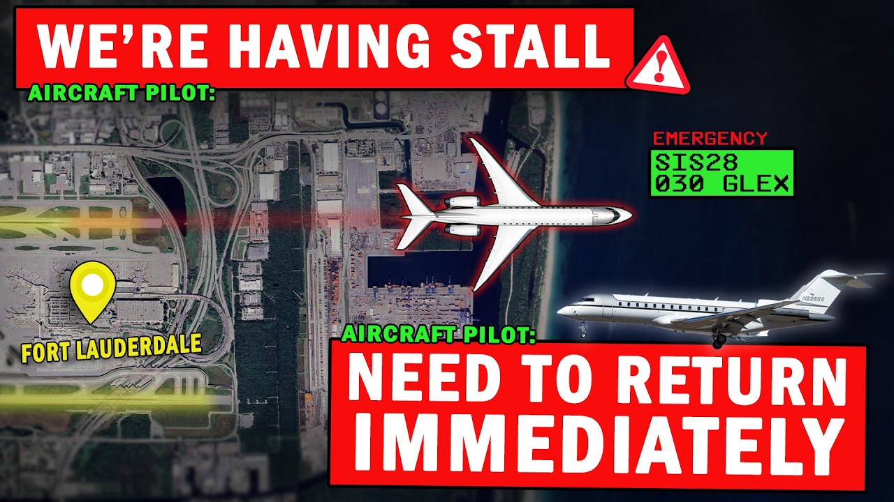Corporate Jet with STALL INDICATIONS | Immediate Return to Land