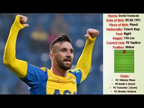 David Vanecek II 2017