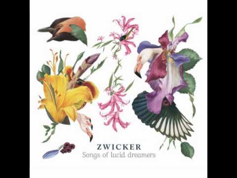 Zwicker - Oddity (ft Olivera Stanimirov - extended version)