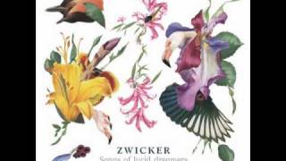 Zwicker - Oddity (ft Olivera Stanimirov - extended version)