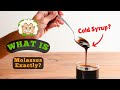 What Is Molasses Exactly? Sweet, Sticky, and Mysterious