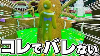豪華メンバーでかくれんぼしたらカオスすぎたｗ【めっちゃカメレオン】