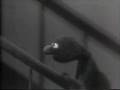 Monsterpiece Theater The 39 Stairs
