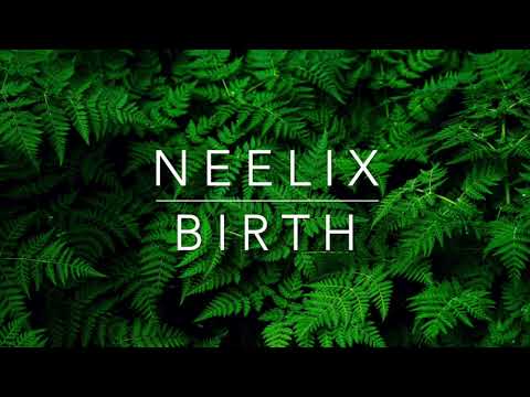 Neelix - Birth (BRAND NEW LIVE SET 2020)