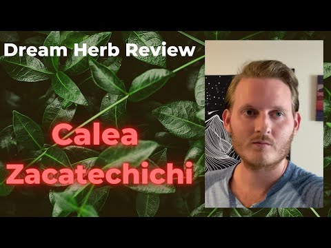 Review on Lucid Dreaming Herb | Dream Herb, Calea Zacatechichi