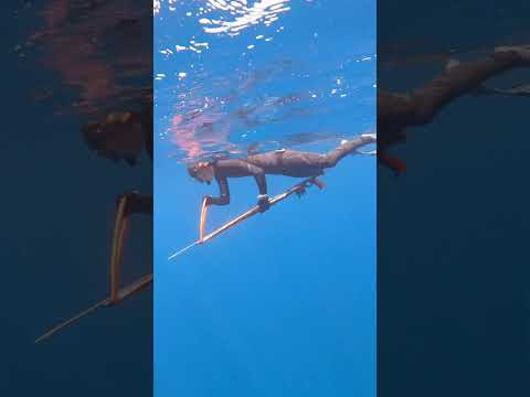 How do you load you speargun?