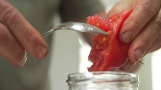 Saving Tomato Seeds And Pruning A Plum Tree