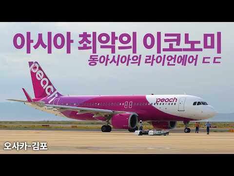 피치항공: 동아시아의 라이언에어 경험기