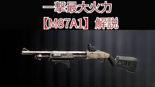 【Battle Field6】一撃134ダメージ【M80A1】解説 【BATTLEFIELD6-BF6" 】