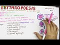 Erythropoesis - Physiology ; Sites and Stages