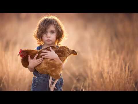 'Чужина'   Неможливо слухати без сліз