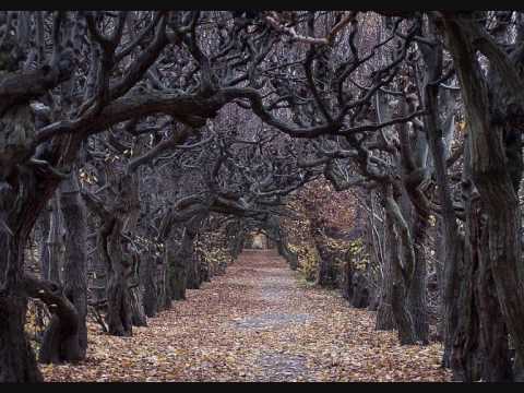 Vaske - Alleine sein