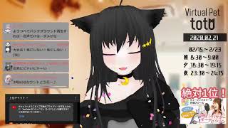 【SHOWROOM】totoฅ•ω•ฅとある猫カフェ＜ミラー配信＞