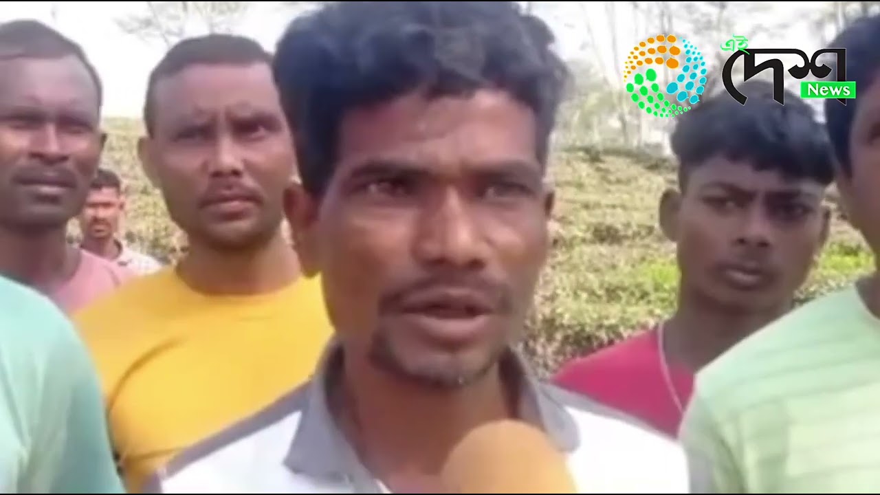 বোকাখাতৰ নুমলীগড় চাহ বাগিচাত অচিনাক্ত মৃতদেহ উদ্ধাৰ  :