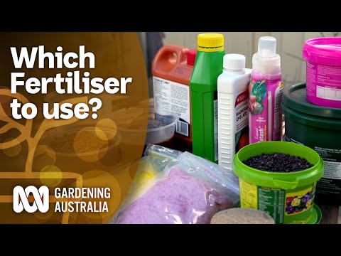 Your Go-To Guide For Fertilizing Plants