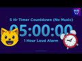 5 Hour Timer Countdown No Music 1 Hour Loud Alarm