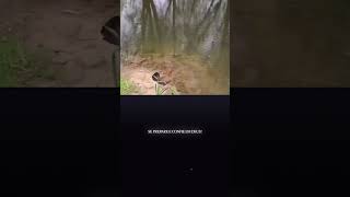 Qual é o Segredo para Voar Alto sem Medo?