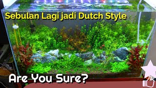 Setting & Perawatan 60cm Aquascape Stem Plant | Hari ke 1 - 30 / Day 1 - 30