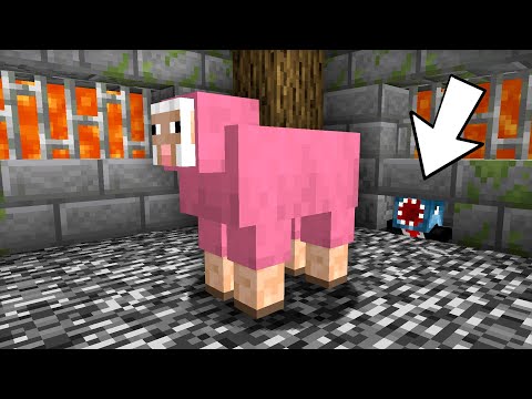 Stealing Minecraft's Most Secure Sheep
