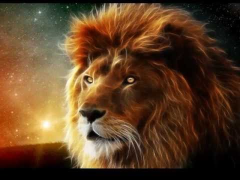 ŽIVOT PROUDÍ (CIRCLE OF LIFE) - cover JKGott Honza Mlčoch