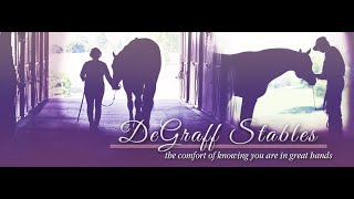 DeGraff Stables Stallion Collection