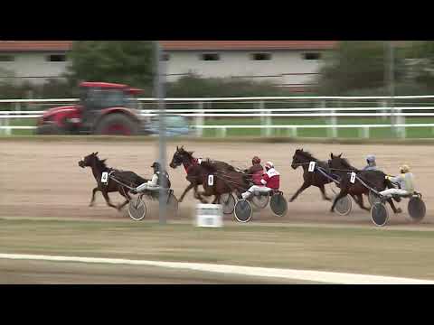 2020.09.26. 05. futam - NYERETLEN KÉTÉVESEK VERSENYE