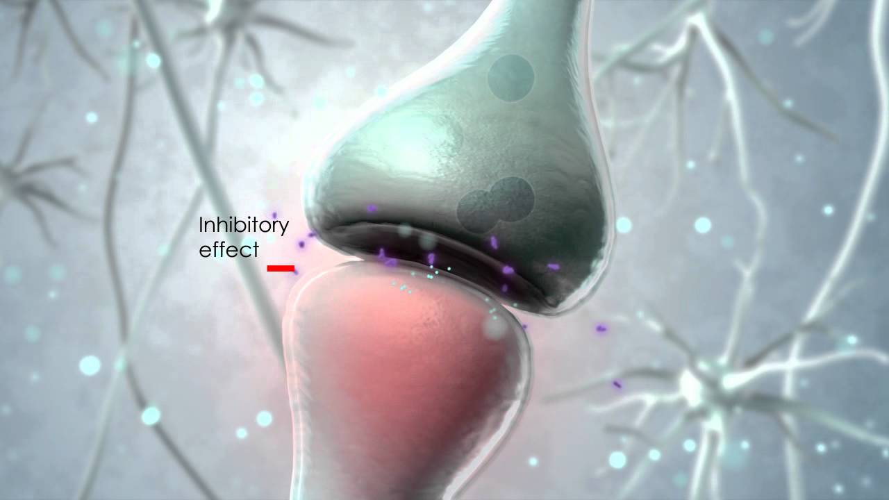 Visualization of the endocannabinoid signaling system.
