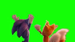 Sonic & Tails Regal Roller Coaster green screen