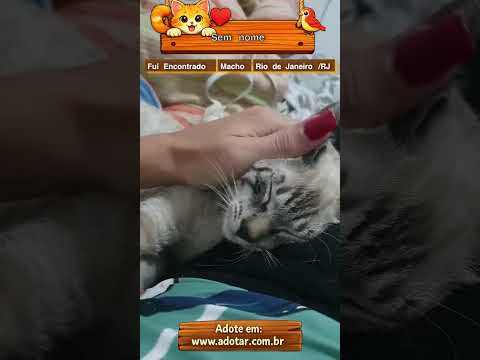Vídeo de Sem nome 