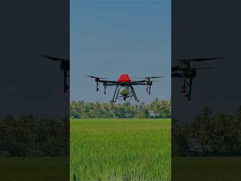 Spraying Service For Food and Cash Crops, Capacity: 10L