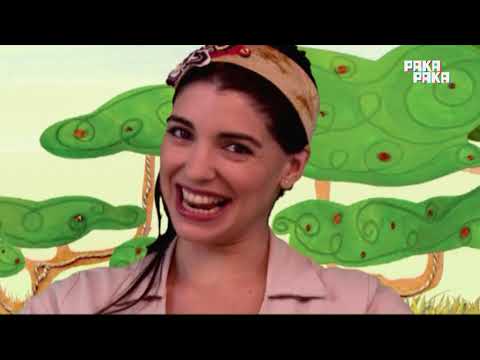 Animapaka I: León - Pakapaka