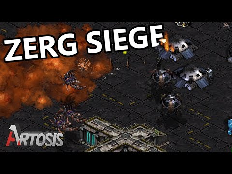 Enduring the Fury of the Swarm - Ample vs. beast