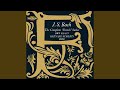 French Suite No. 6 in E Major, BWV 815: IV. Gavotte