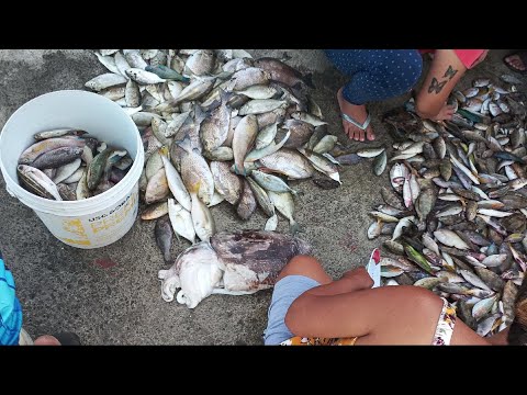 The Fishing Boats Arrive At The Beach Blanket Fish Market, Cebu, Philippines