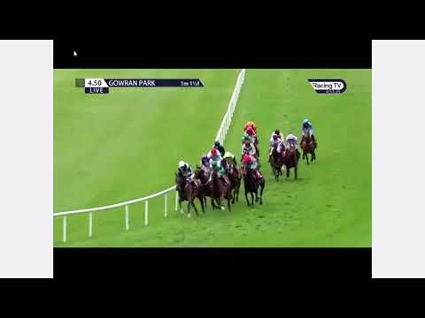 Lot 139 SIERRA NEVADA - Irish Stallion Farms EBF,  Maiden