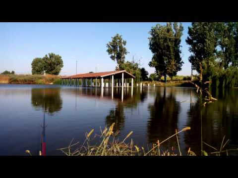 Home all natural 100%