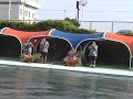VAIHI - "How about us" Old school Vaihi acapella performed in Shonan Japan