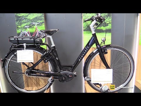 2020 Wanderer E600 Performance Electric Bike - Walkaround - 2019 Eurobike