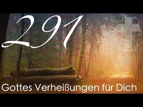 Gottes Verheißungen für Dich - Sprüche 3,6 | Videokalender 291/365 - Deutschland braucht JESUS