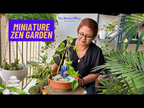 video - Little Buddha Garden For My Tabletop