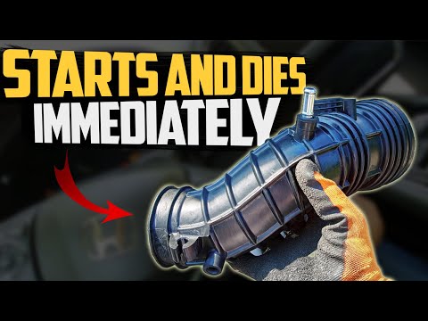 7 Reasons Your Car Starts But Dies Immediately