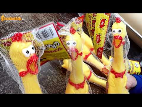 SHRILLING CHICKEN   IL POLLO CHE URLA DISPERATO