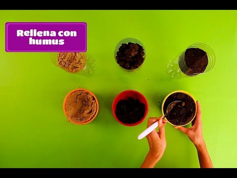 Suelos... y suelos - Revista Mis Amigos