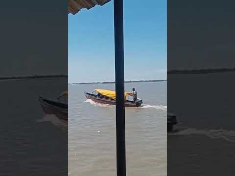 Salamina orilla del río Magdalena