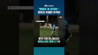 '멧돼지 게 섰거라~' 폴란드 도심 속 로봇의 유쾌한 추격전 #JTBC #Shorts