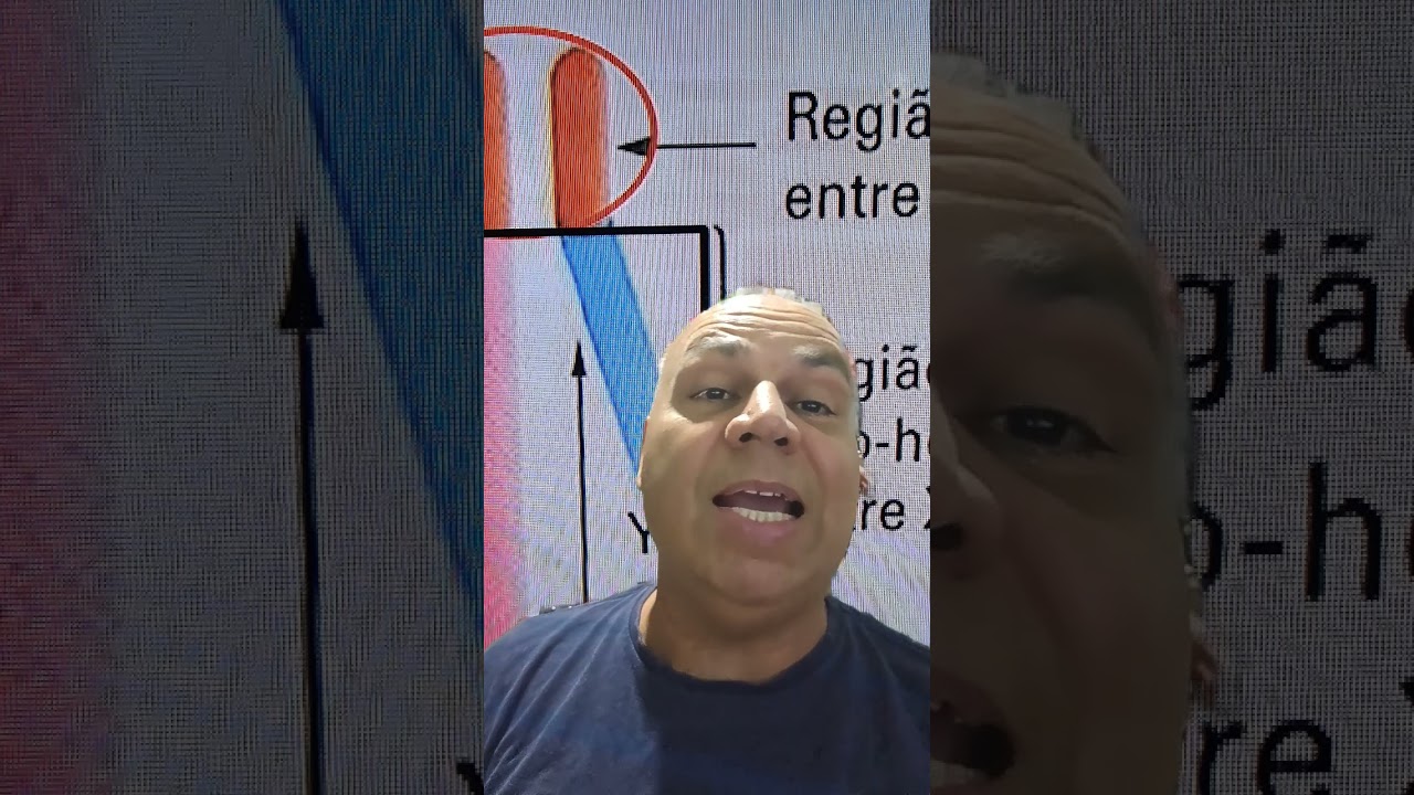 28 de outubro de 2024