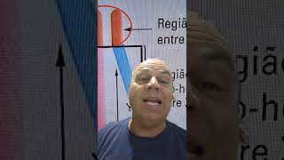 28 de outubro de 2024